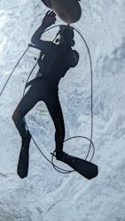 サンシャイン水族館に投稿された画像（2026/3/19）