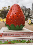 OSAKA Strawberry Festivalに投稿された画像（2026/3/19）