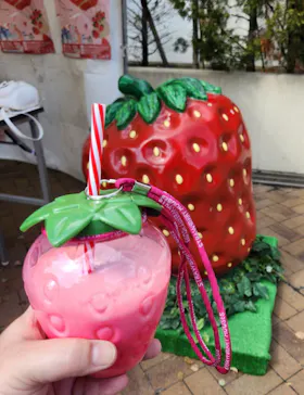 OSAKA Strawberry Festivalに投稿された画像（2026/3/19）