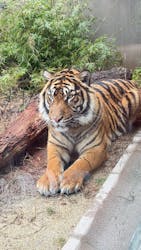 名古屋市東山動植物園に投稿された画像（2026/3/19）