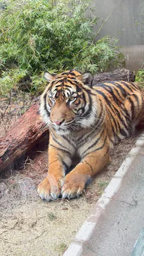 名古屋市東山動植物園に投稿された画像（2026/3/19）