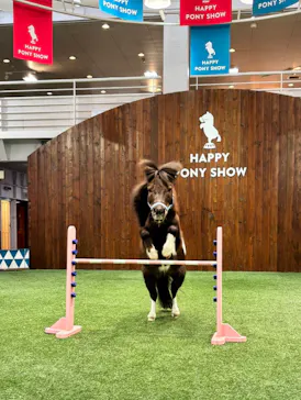 ノーザンホースパークに投稿された画像（2026/3/19）