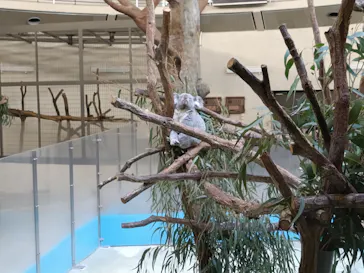 多摩動物公園に投稿された画像（2026/3/19）