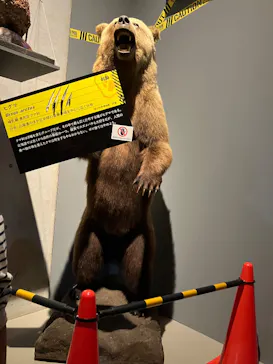 特別展「超危険生物展　科学で挑む生き物の本気」に投稿された画像（2026/3/19）