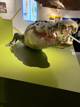 特別展「超危険生物展　科学で挑む生き物の本気」に投稿された画像（2026/3/19）