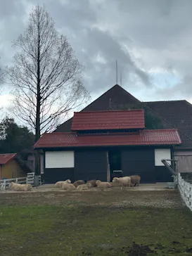 滋賀農業公園ブルーメの丘に投稿された画像（2026/3/19）