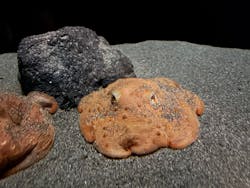 サンシャイン水族館に投稿された画像（2026/3/19）