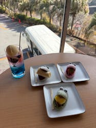 熱川バナナワニ園に投稿された画像（2026/3/19）