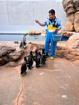 島根県立 しまね海洋館に投稿された画像（2026/3/19）