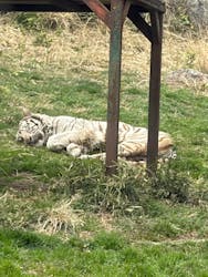 伊豆アニマルキングダムに投稿された画像（2026/3/19）