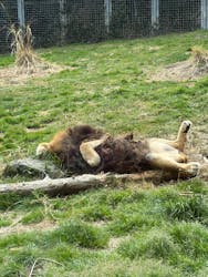 伊豆アニマルキングダムに投稿された画像（2026/3/19）