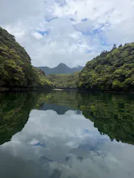 屋久島フィールド情報センターに投稿された画像（2026/3/19）