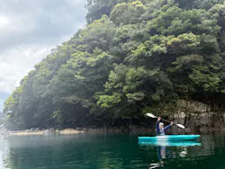 屋久島フィールド情報センターに投稿された画像（2026/3/19）
