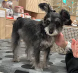 いぬカフェRio ゆめタウン久留米店に投稿された画像（2026/3/19）