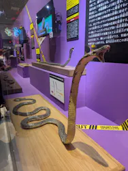 特別展「超危険生物展　科学で挑む生き物の本気」に投稿された画像（2026/3/19）