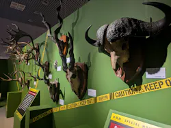 特別展「超危険生物展　科学で挑む生き物の本気」に投稿された画像（2026/3/19）