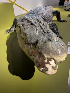 特別展「超危険生物展　科学で挑む生き物の本気」に投稿された画像（2026/3/19）