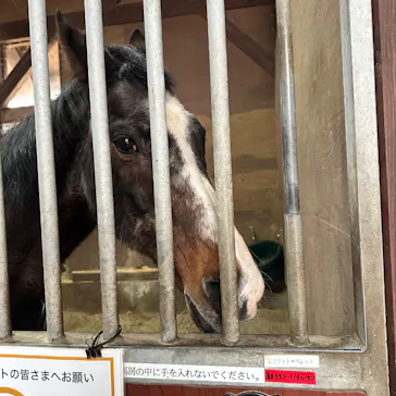 ノーザンホースパークに投稿された画像（2026/3/19）