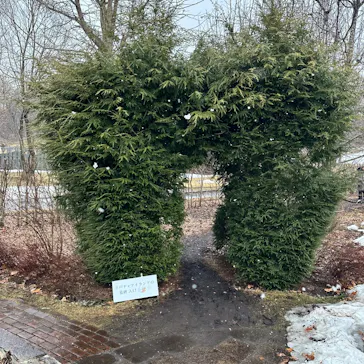 ノーザンホースパークに投稿された画像（2026/3/19）