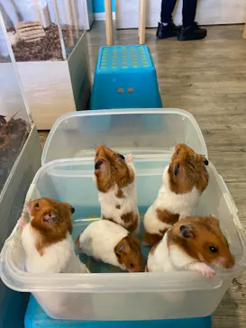 Moff animal cafe iias つくば店に投稿された画像（2026/3/19）