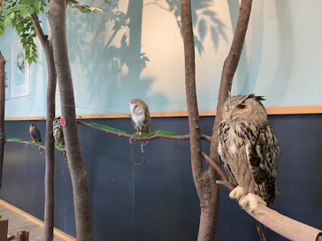 Moff animal cafe iias つくば店に投稿された画像（2026/3/19）