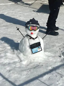 ナスパスキーガーデンに投稿された画像（2026/3/19）