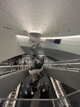 福井県立恐竜博物館に投稿された画像（2026/3/19）