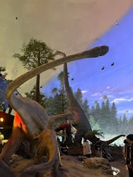 福井県立恐竜博物館に投稿された画像（2026/3/19）
