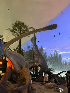 福井県立恐竜博物館に投稿された画像（2026/3/19）