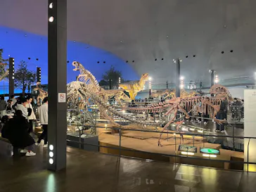 福井県立恐竜博物館に投稿された画像（2026/3/19）