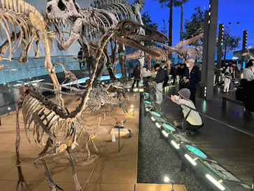 福井県立恐竜博物館に投稿された画像（2026/3/19）