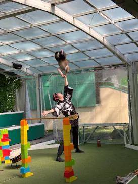 おさるランド＆アニタウン　日光さる軍団劇場に投稿された画像（2026/3/19）