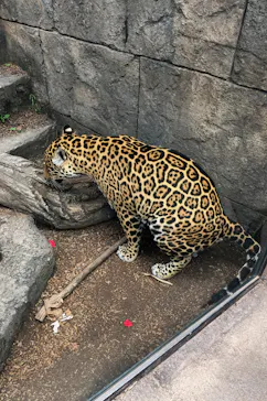 沖縄こどもの国に投稿された画像（2026/3/19）