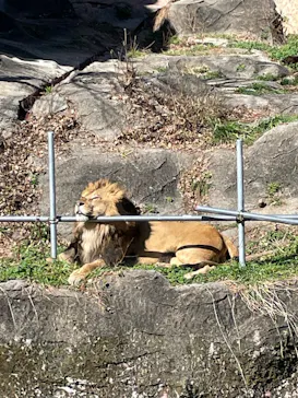名古屋市東山動植物園に投稿された画像（2026/3/19）