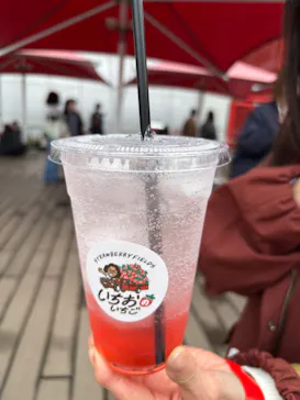 OSAKA Strawberry Festivalに投稿された画像（2026/3/19）