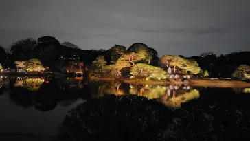 六義園に投稿された画像（2026/3/19）