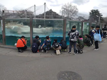 東武動物公園に投稿された画像（2026/3/19）