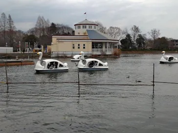 東武動物公園に投稿された画像（2026/3/19）