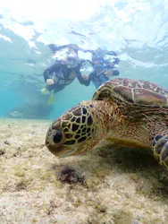 宮古島マリンショップSmileyに投稿された画像（2026/3/19）