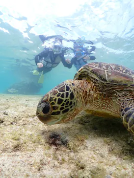 宮古島マリンショップSmileyに投稿された画像（2026/3/19）