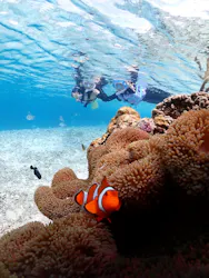 宮古島マリンショップSmileyに投稿された画像（2026/3/19）