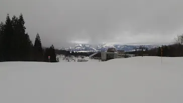 ニュー・グリーンピア津南に投稿された画像（2026/3/19）