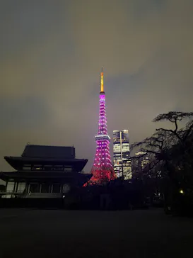 東京タワーに投稿された画像（2026/3/19）