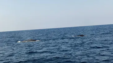 マリンクラブ ベリー 那覇店に投稿された画像（2026/3/19）