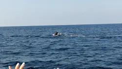 マリンクラブ ベリー 那覇店に投稿された画像（2026/3/19）