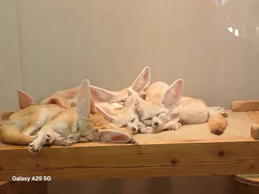 アニタッチ MARK IS 静岡に投稿された画像（2026/3/19）