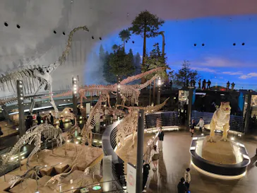福井県立恐竜博物館に投稿された画像（2026/3/19）
