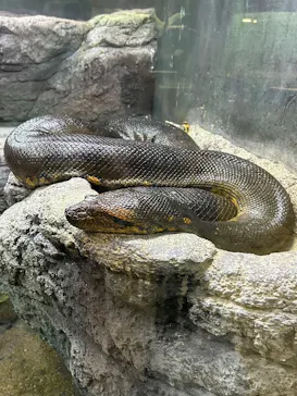 名古屋市東山動植物園に投稿された画像（2026/3/19）