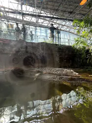 名古屋市東山動植物園に投稿された画像（2026/3/19）