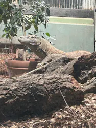 名古屋市東山動植物園に投稿された画像（2026/3/19）